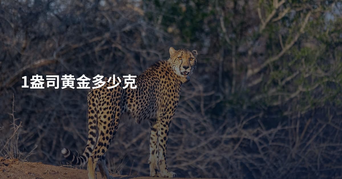 1盎司黄金多少克