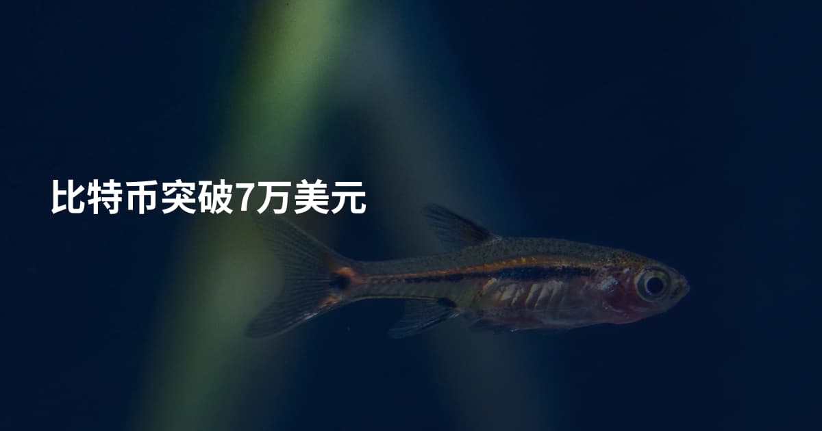 比特币突破7万美元
