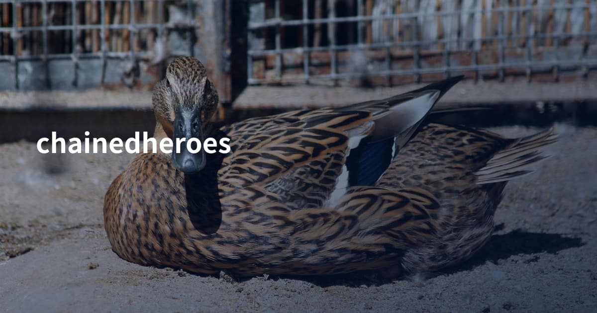 chainedheroes