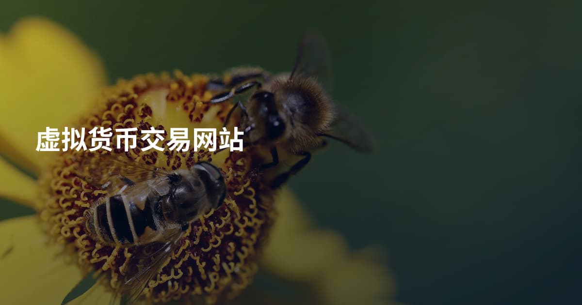 虚拟货币交易网站