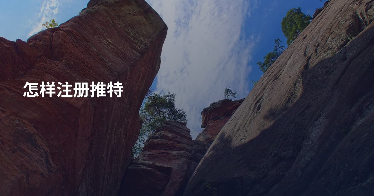怎样注册推特