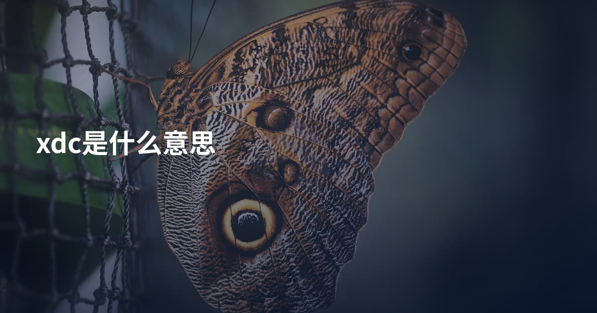 xdc是什么意思