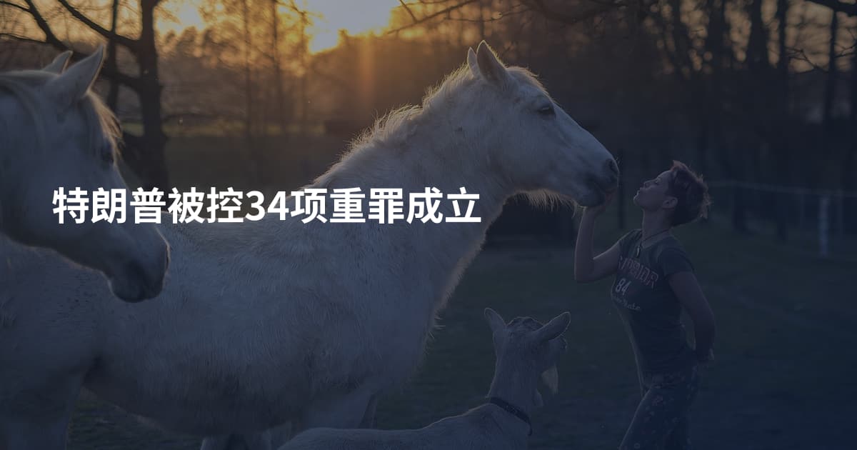 特朗普被控34项重罪成立