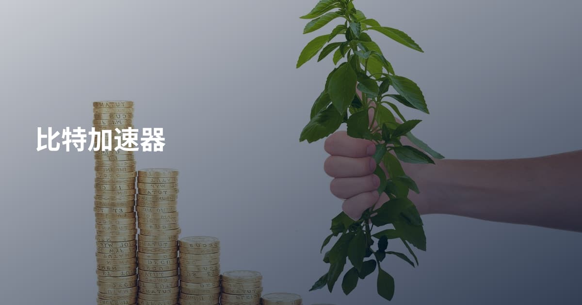 比特加速器