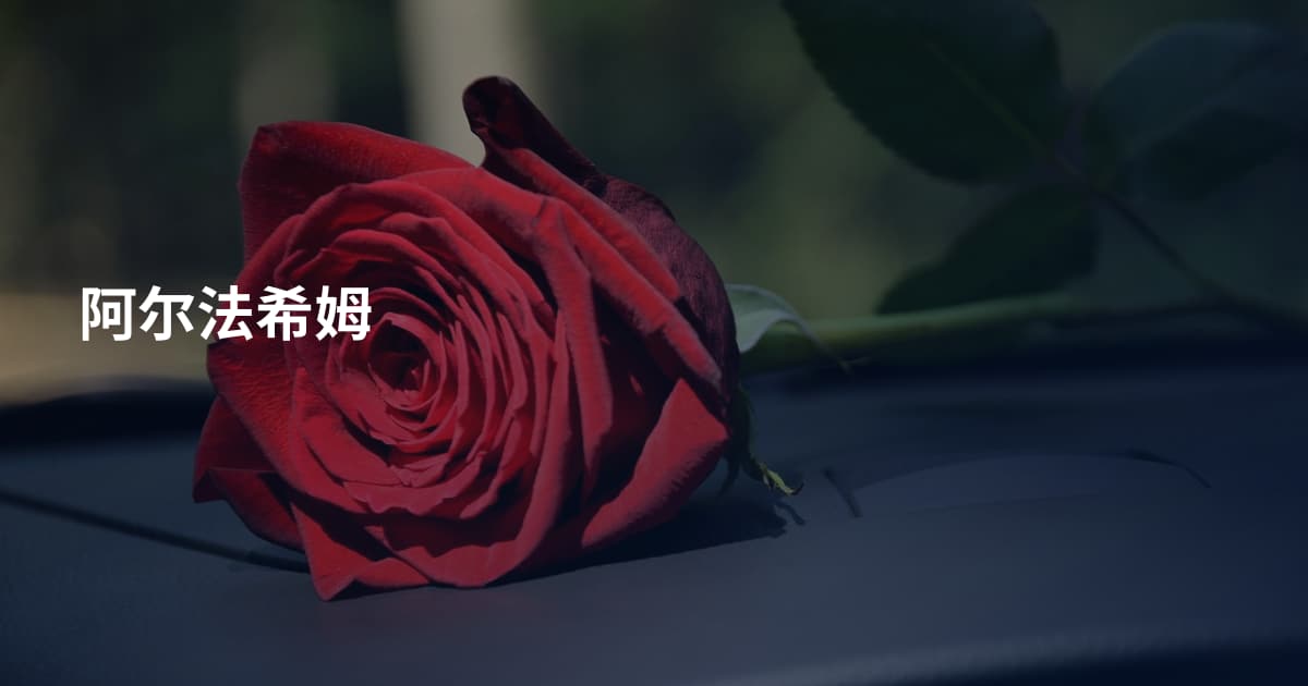 阿尔法希姆