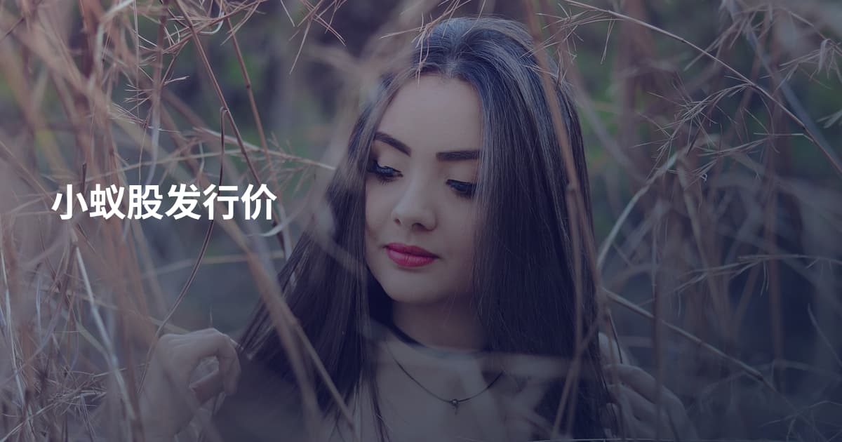 小蚁股发行价