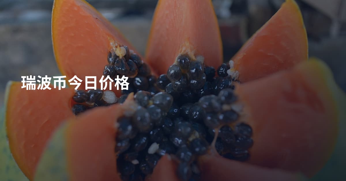 瑞波币今日价格