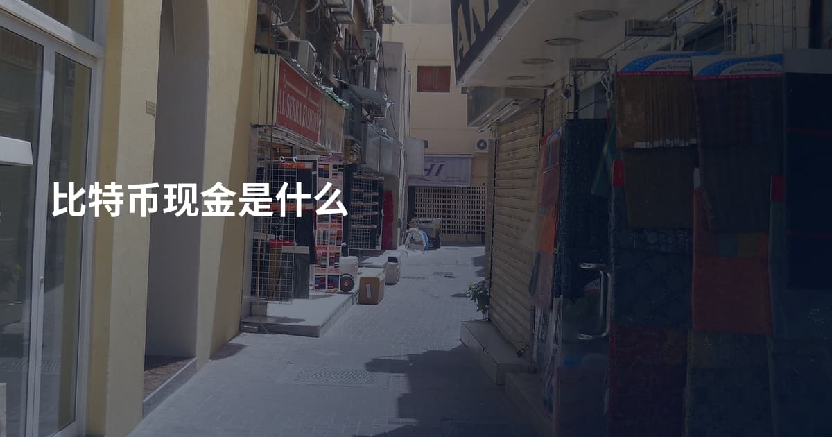 比特币现金是什么