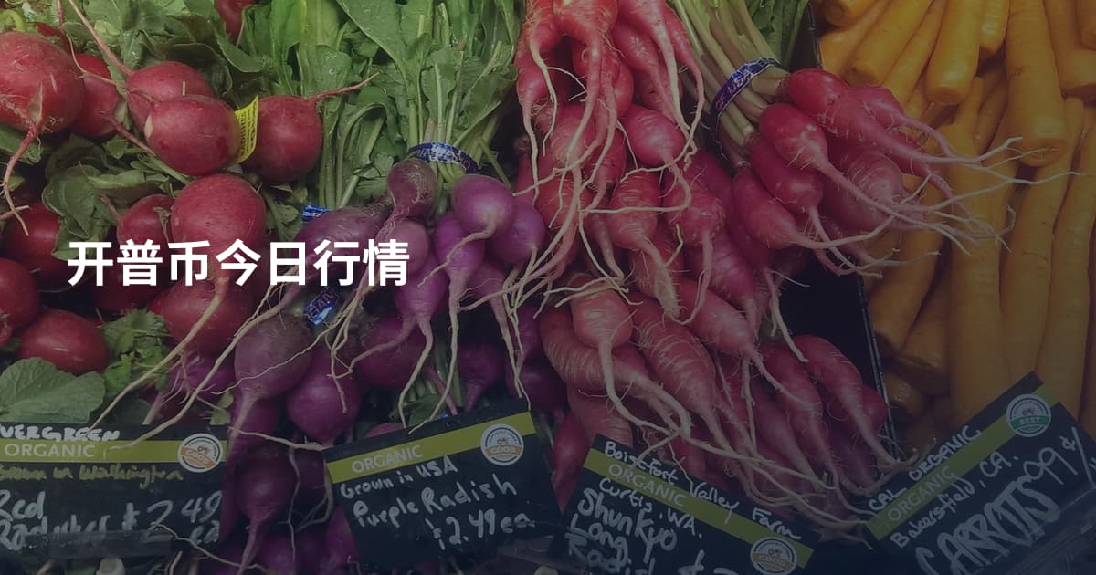 开普币今日行情