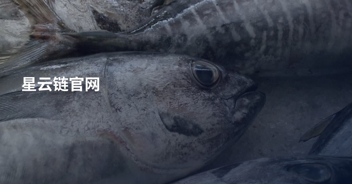 星云链官网