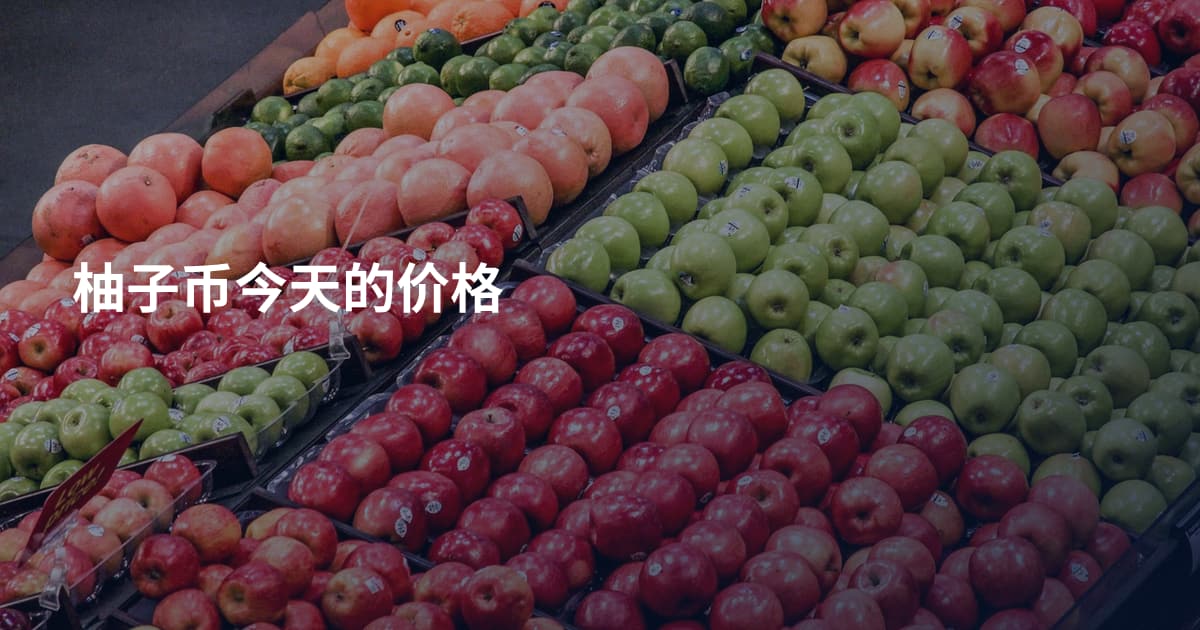 柚子币今天的价格