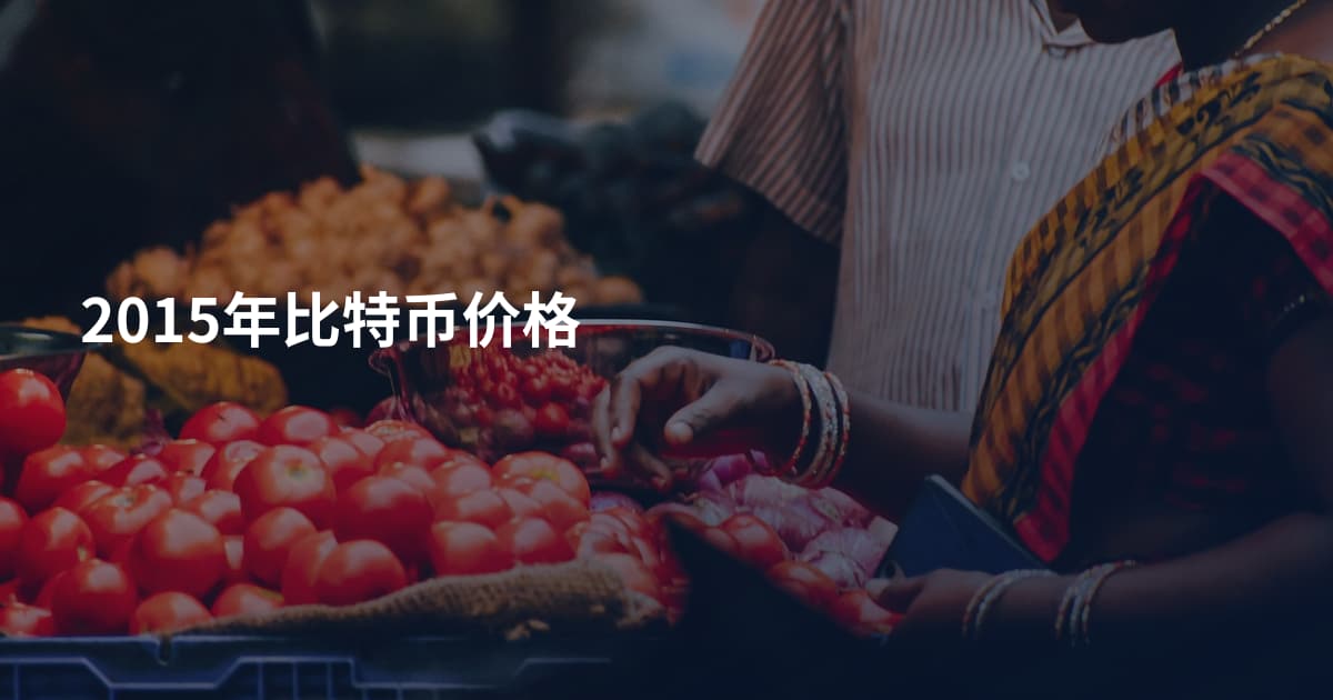 2015年比特币价格