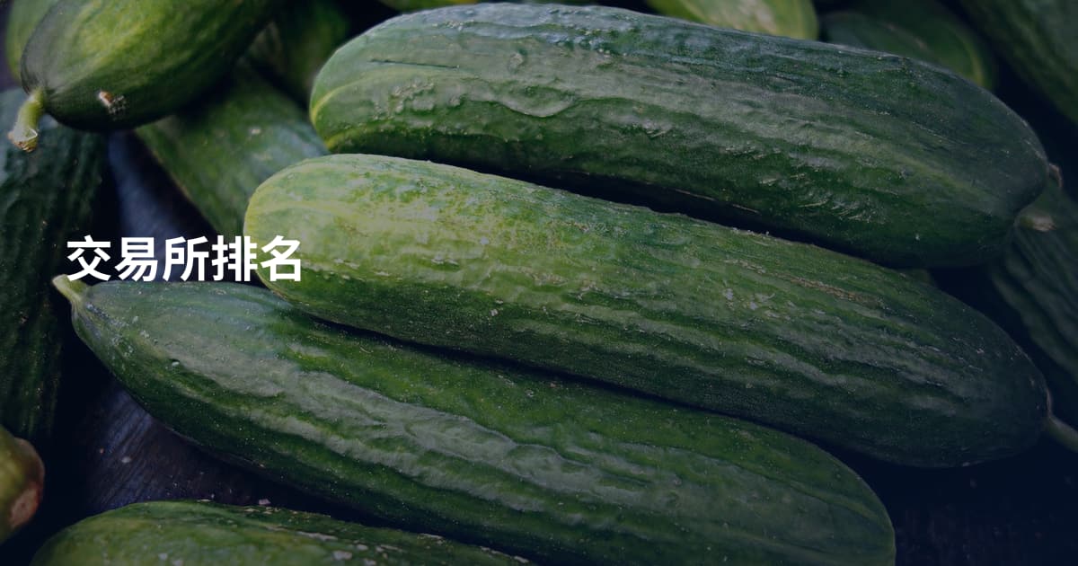 交易所排名