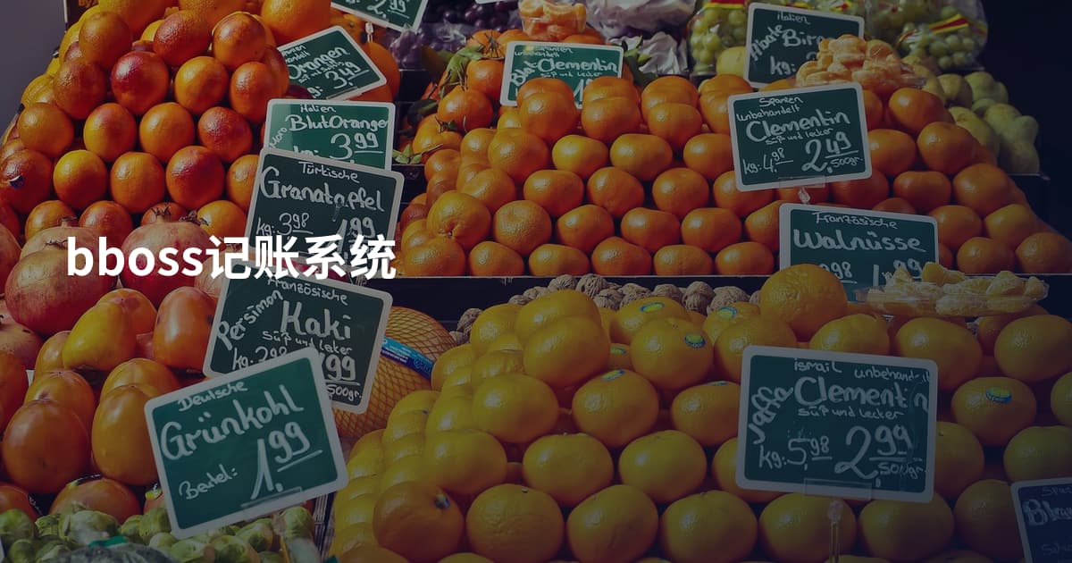 bboss记账系统