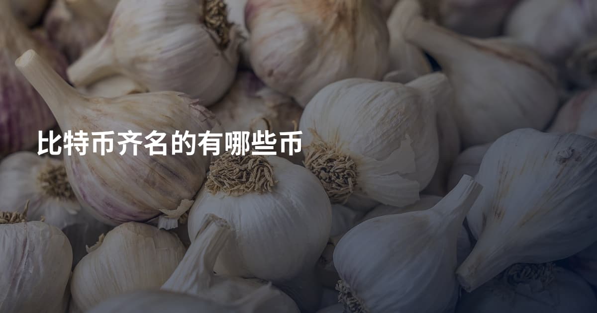比特币齐名的有哪些币