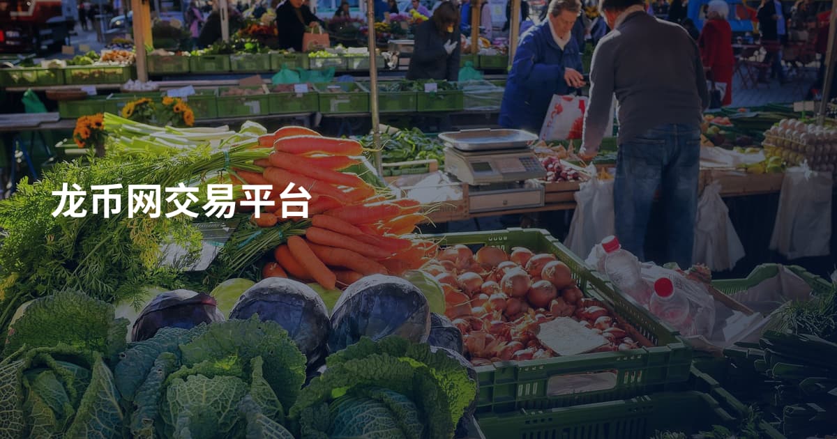 龙币网交易平台