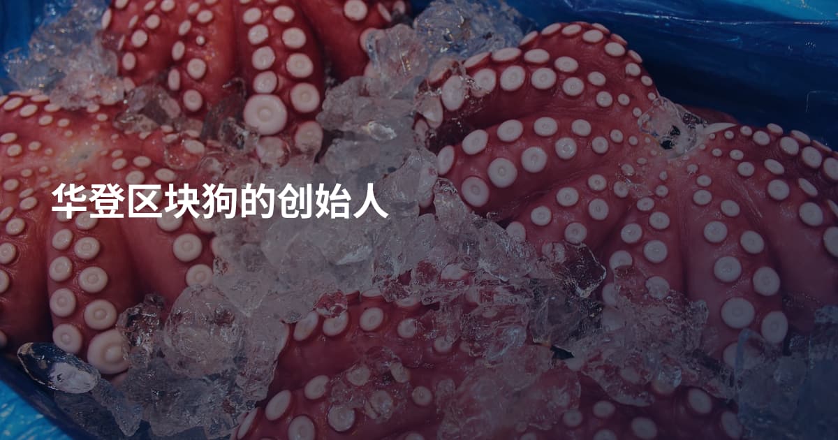 华登区块狗的创始人