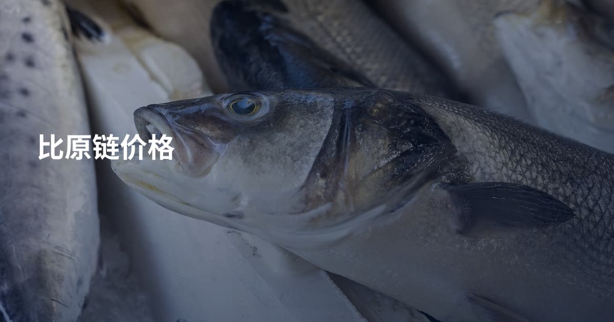 比原链价格