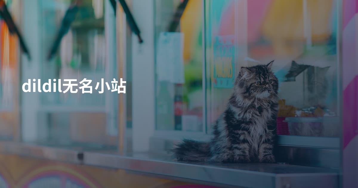 dildil无名小站