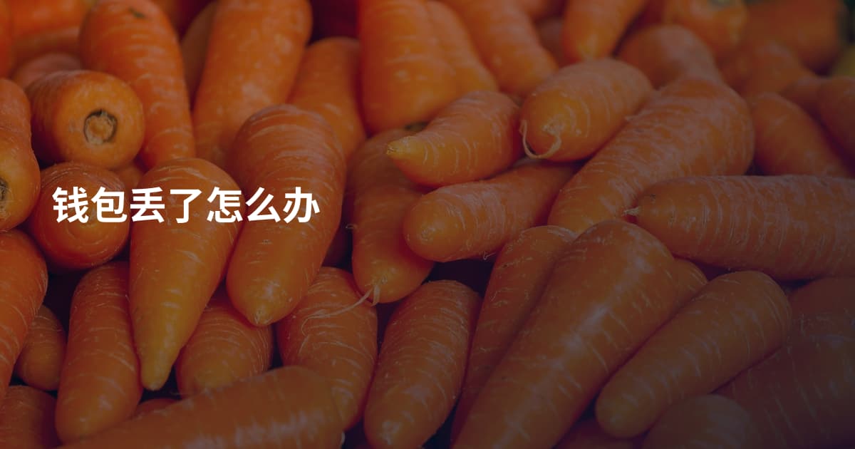 钱包丢了怎么办