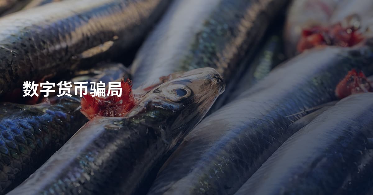 数字货币骗局