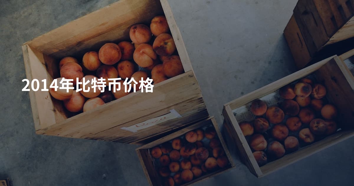 2014年比特币价格