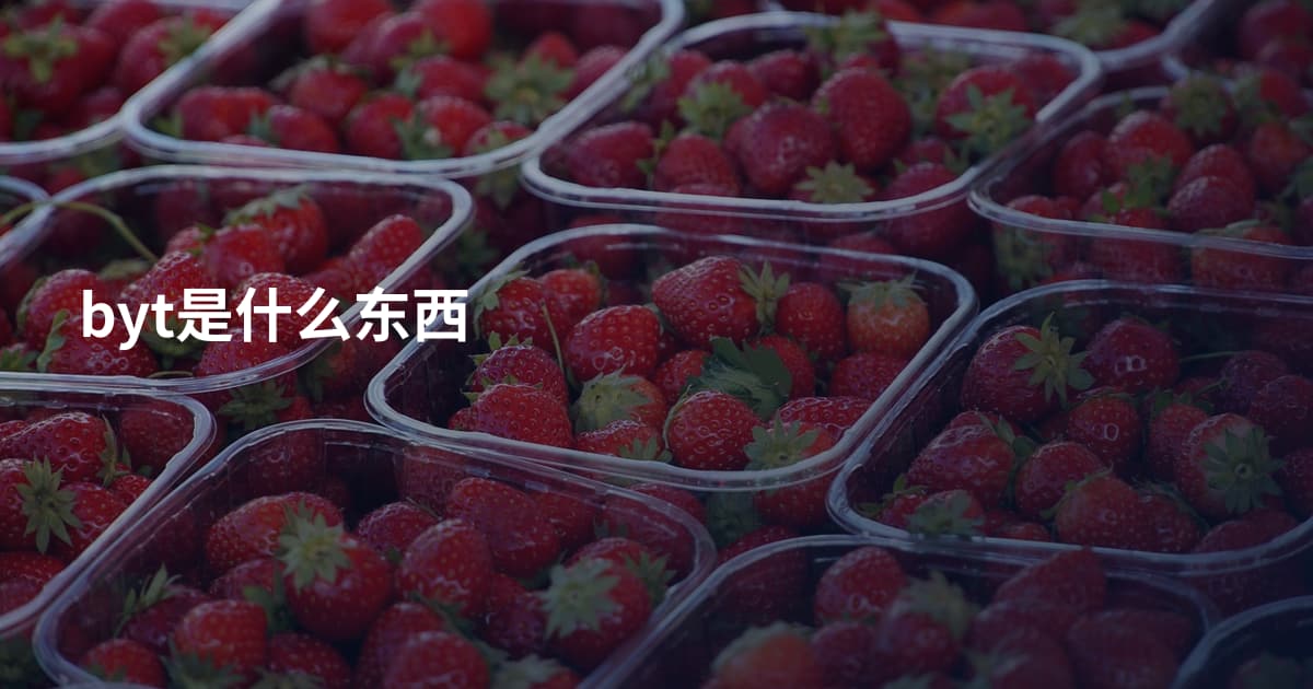 byt是什么东西