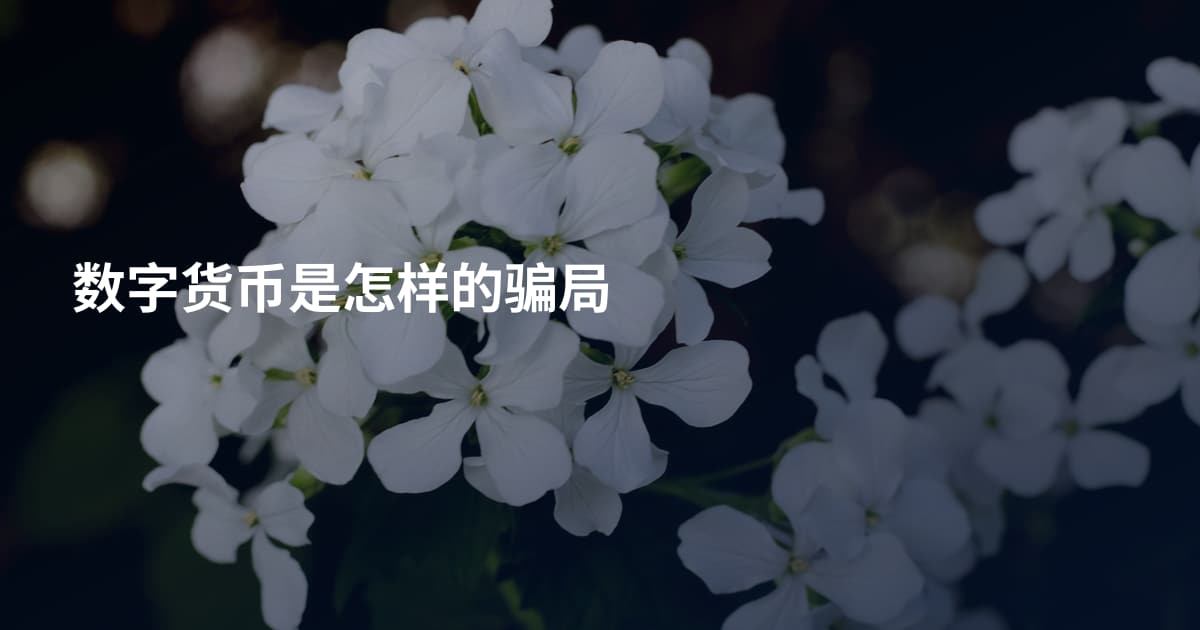 数字货币是怎样的骗局