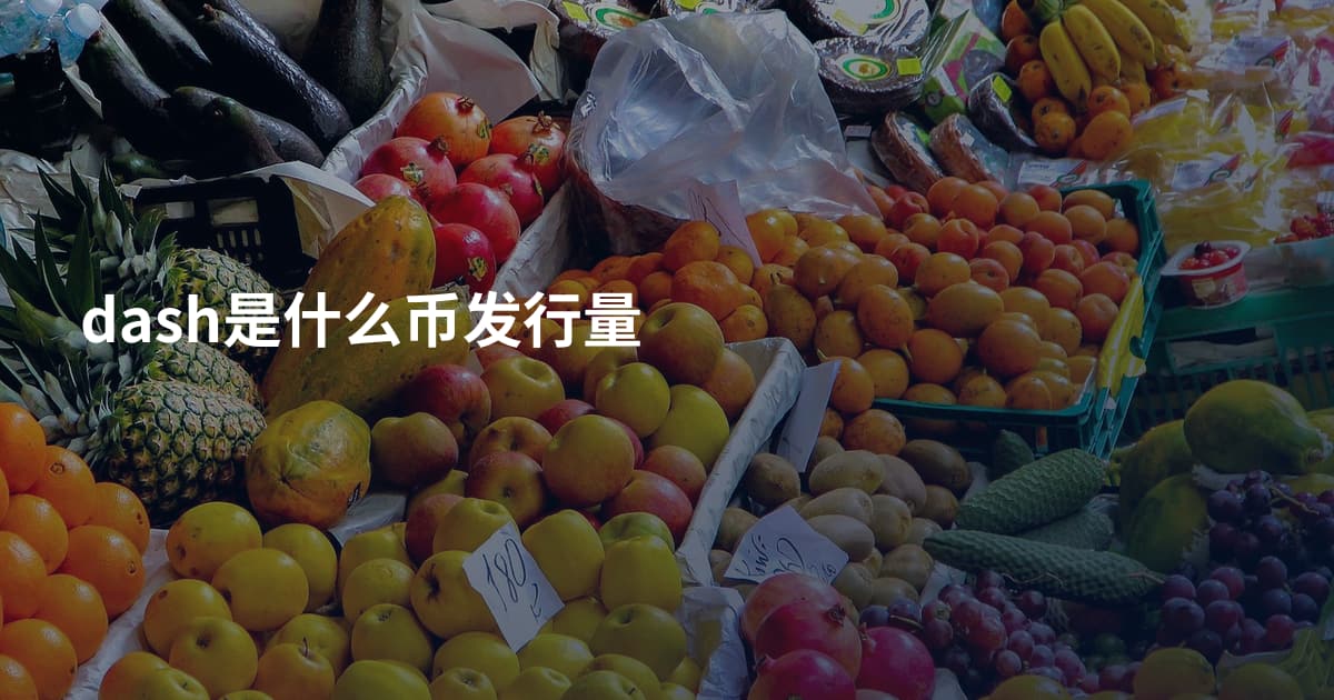 dash是什么币发行量