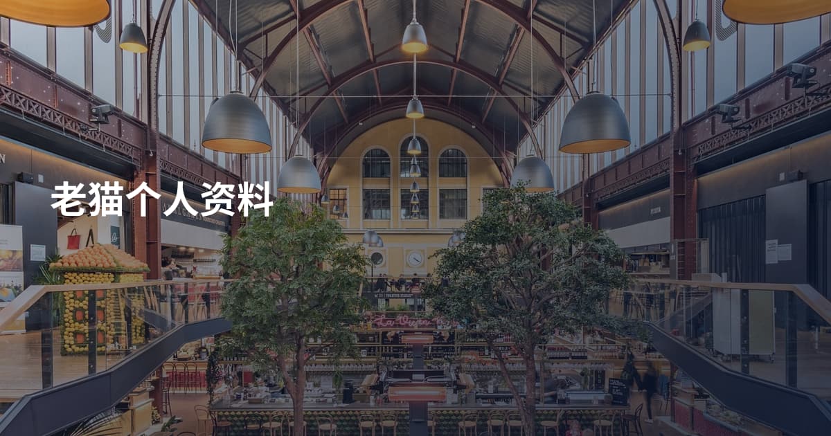 老猫个人资料