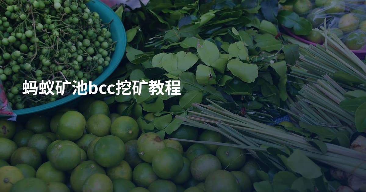 蚂蚁矿池bcc挖矿教程
