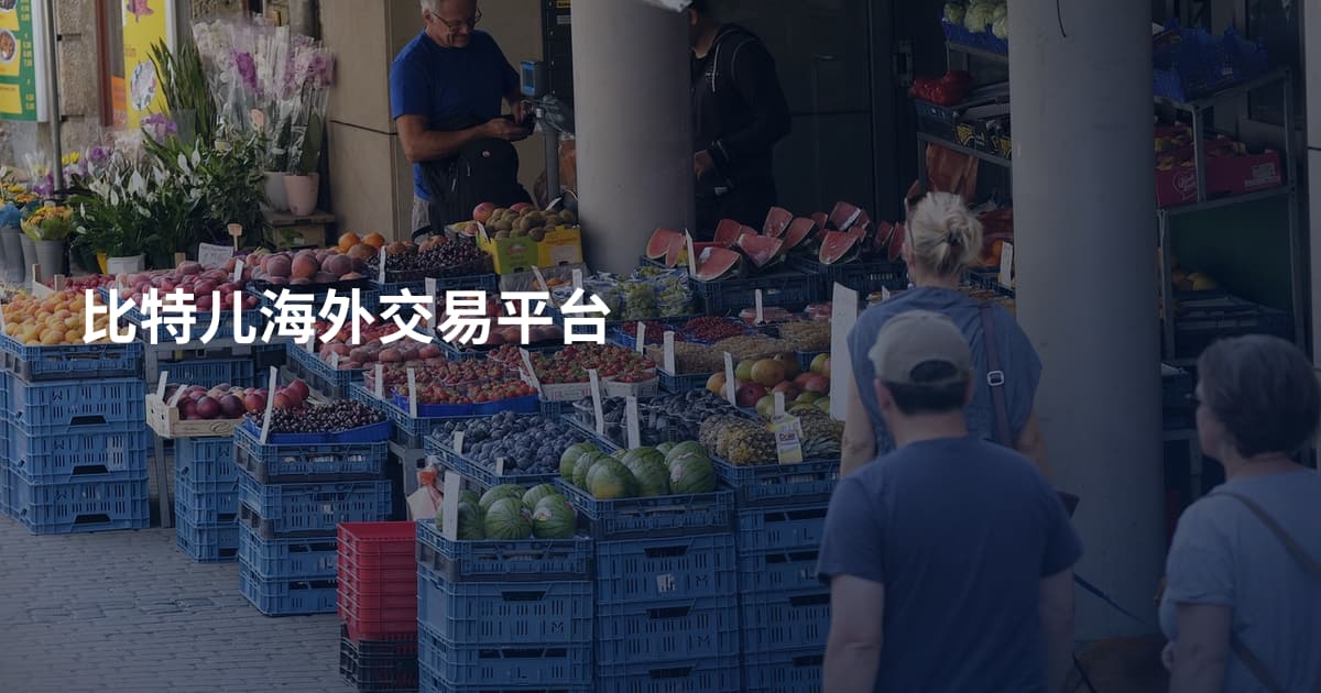 比特儿海外交易平台