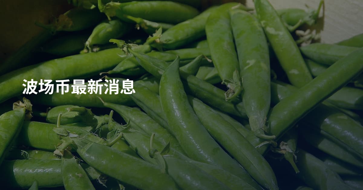 波场币最新消息