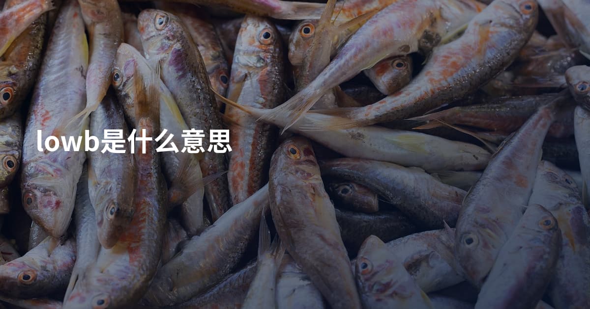 lowb是什么意思