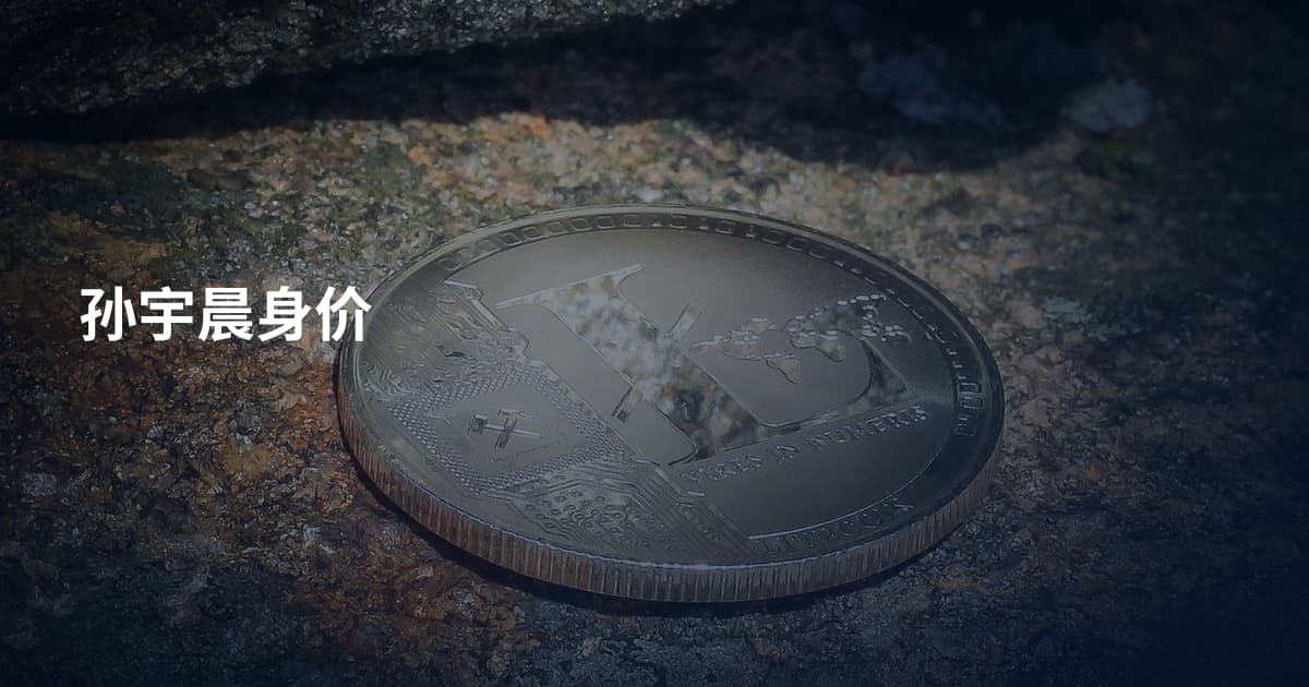 孙宇晨身价