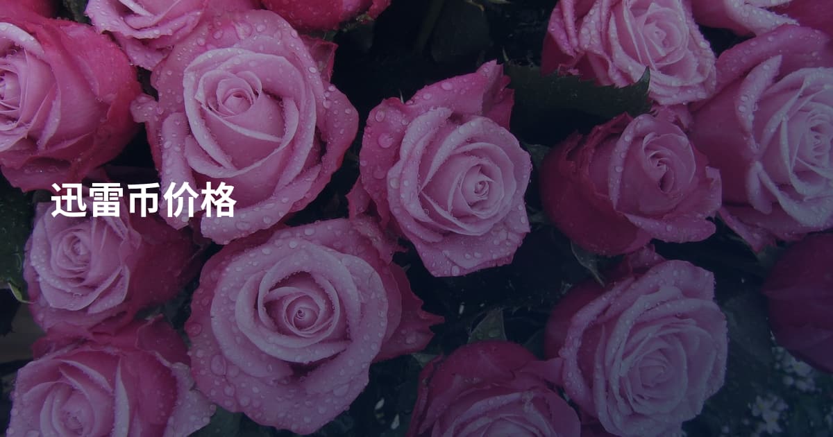 迅雷币价格