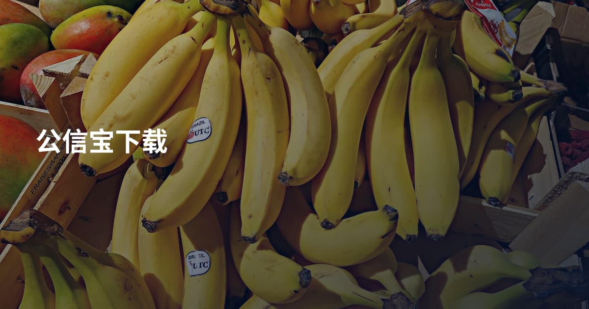 公信宝下载