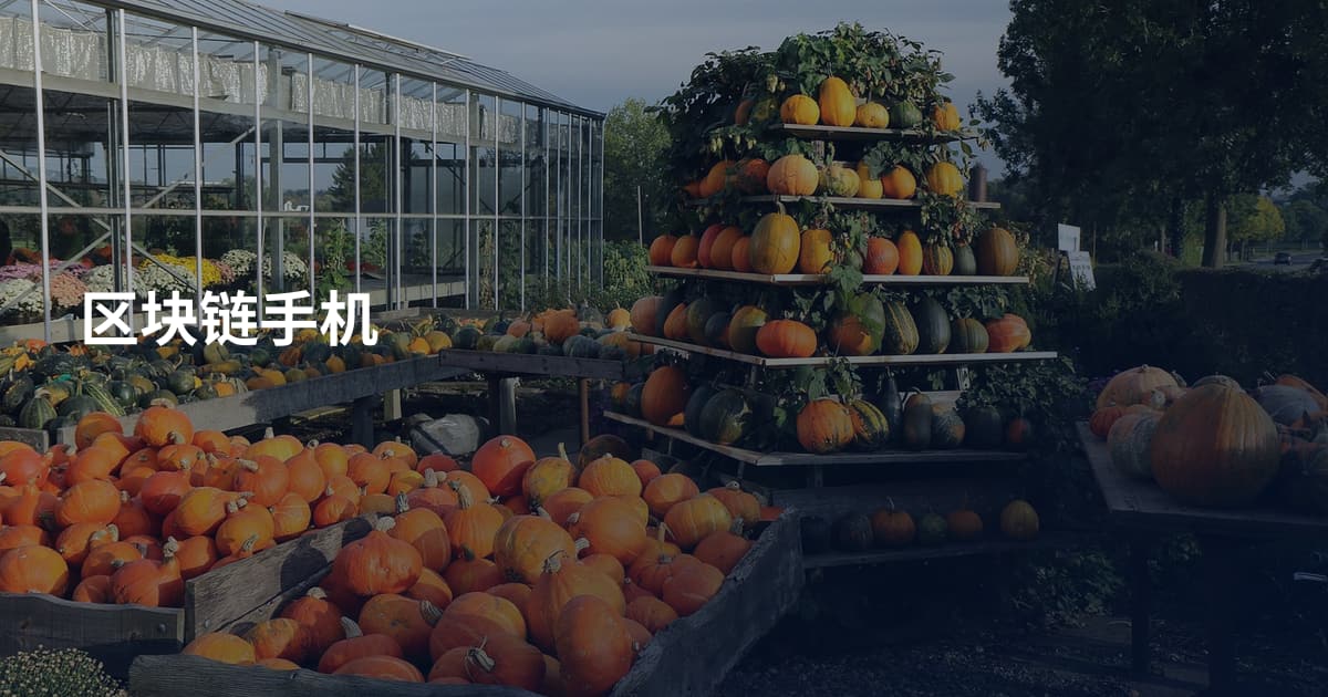 区块链手机
