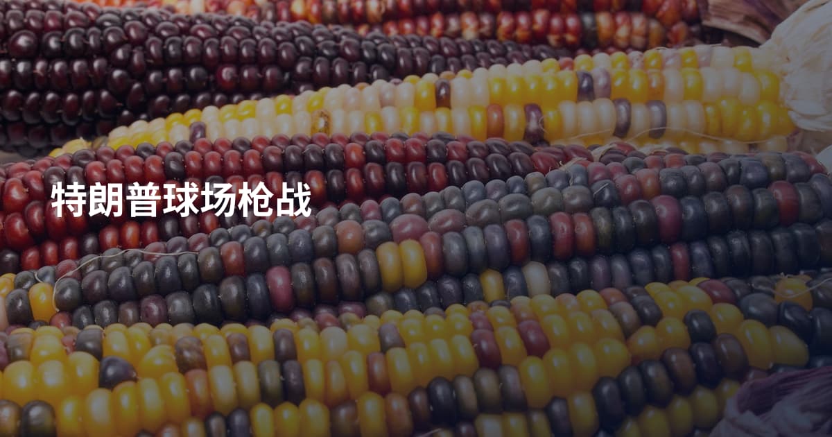 特朗普球场枪战