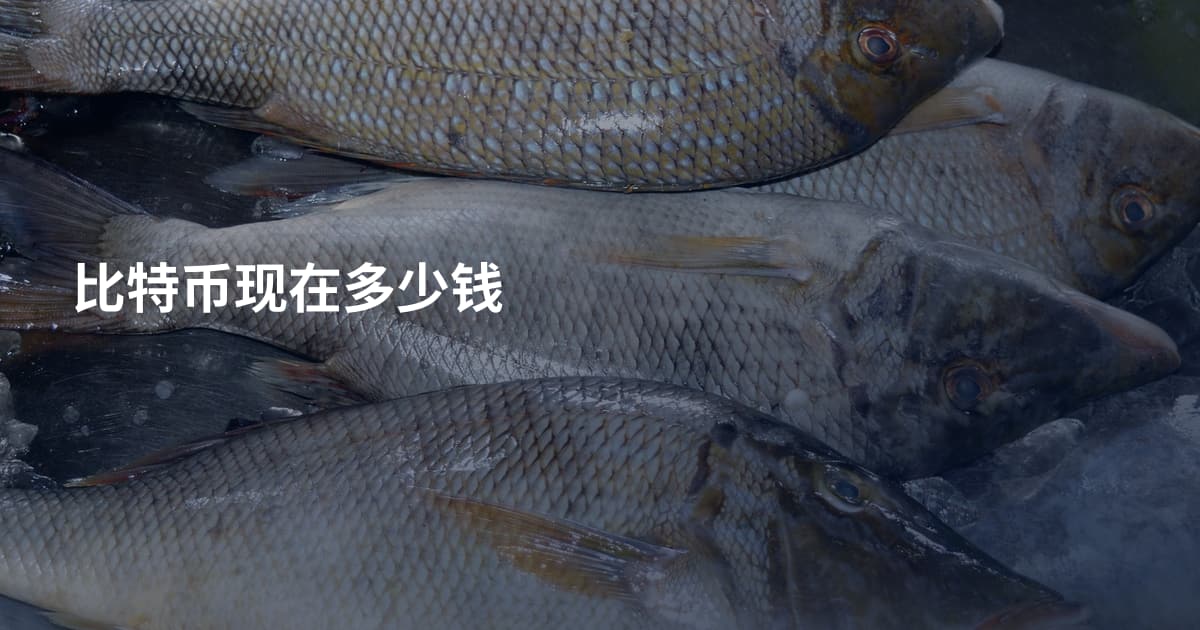 比特币现在多少钱