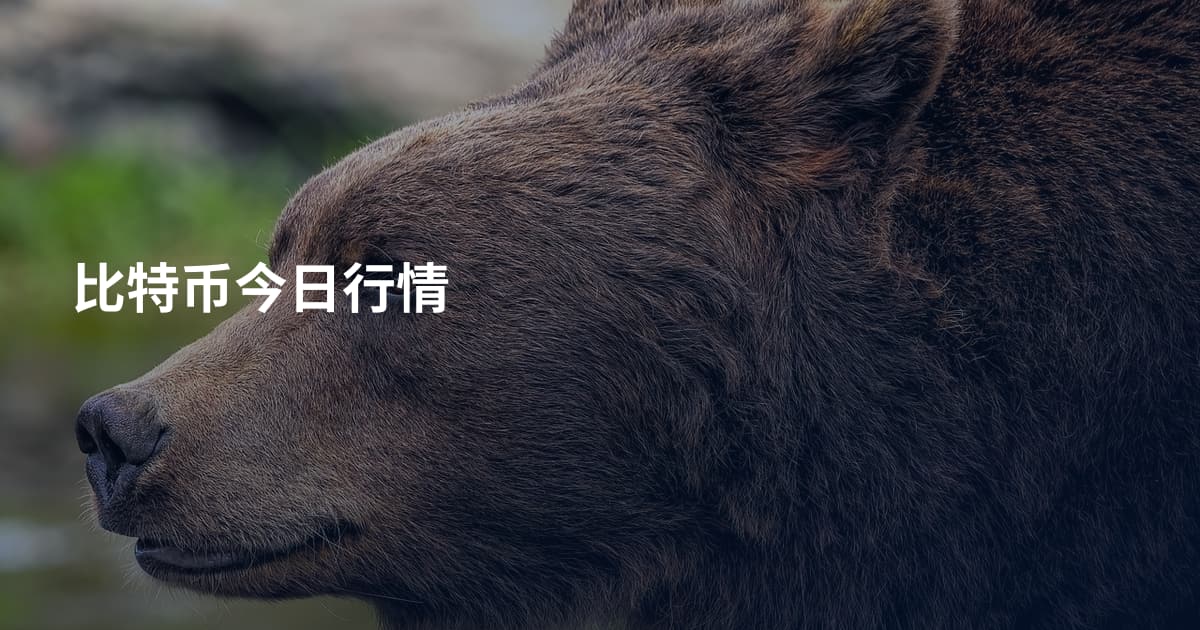 比特币今日行情