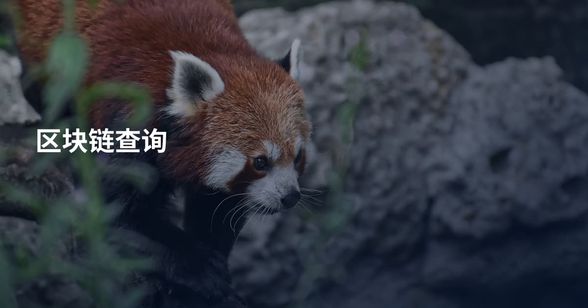 区块链查询
