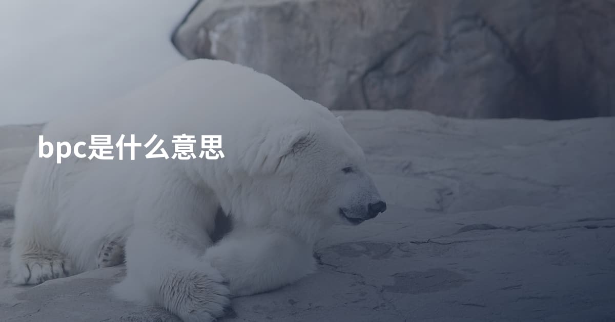 bpc是什么意思