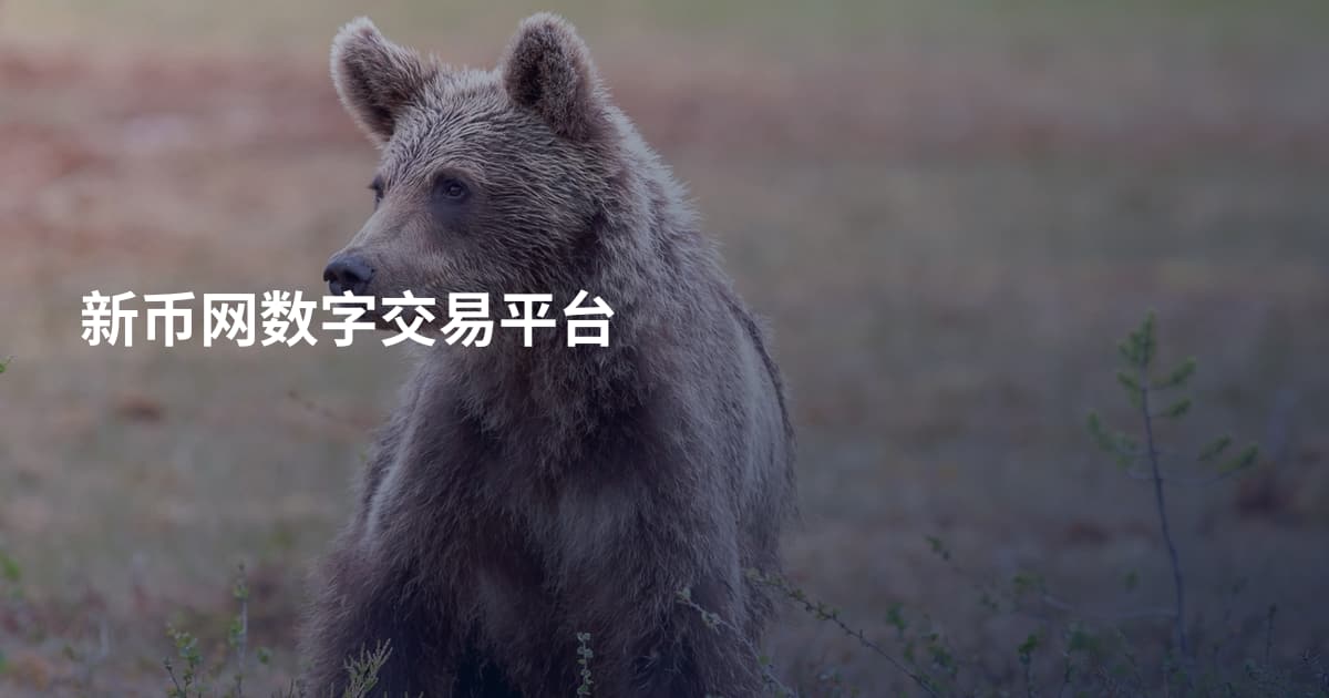 新币网数字交易平台