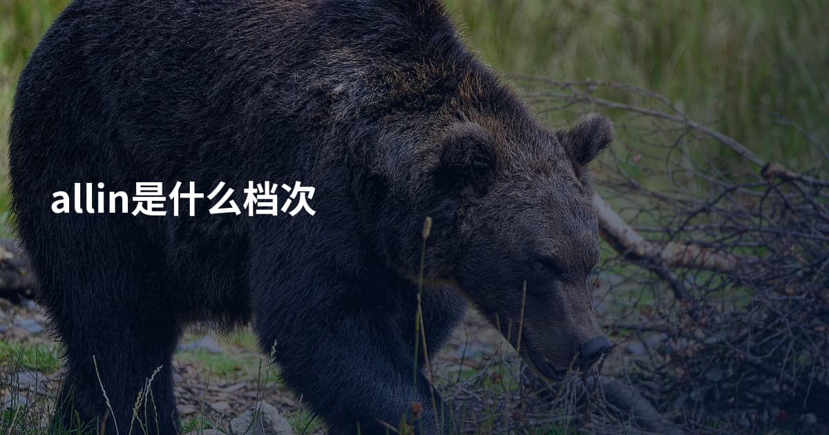 allin是什么档次