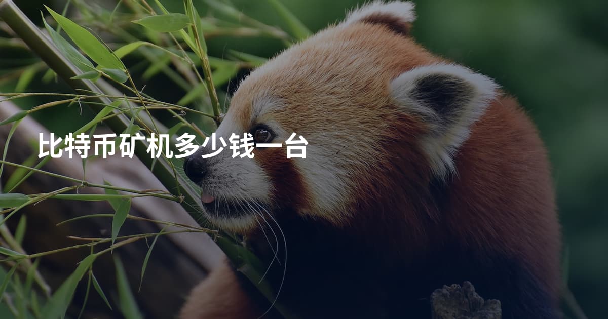 比特币矿机多少钱一台