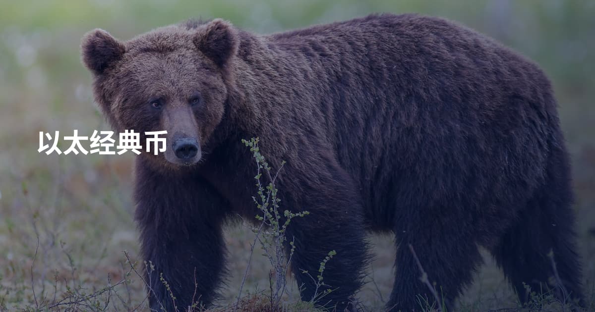 以太经典币
