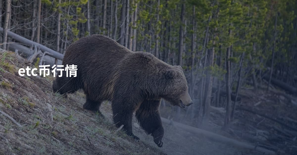 etc币行情