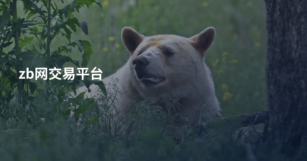 zb网交易平台