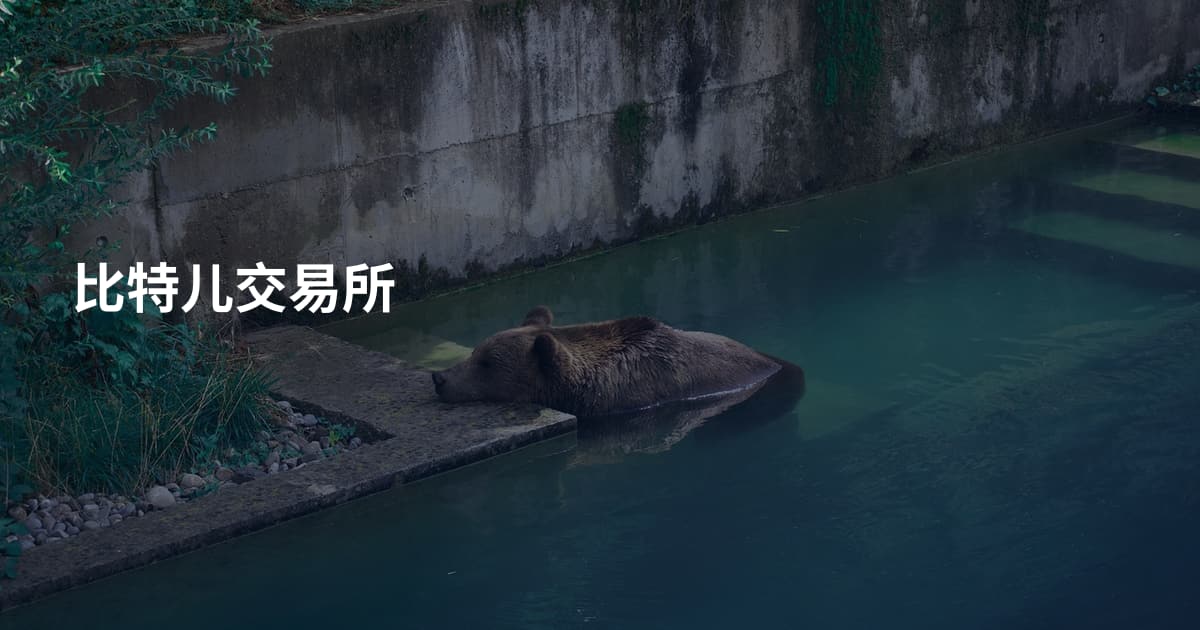 比特儿交易所